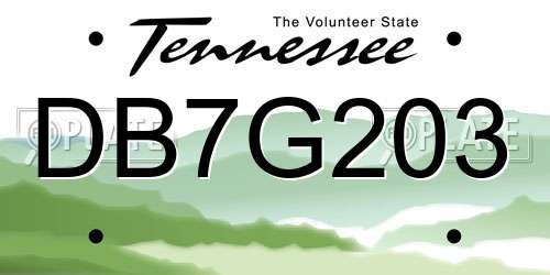 DB7G203 Tennessee License Plate