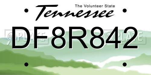 DF8R842 Tennessee License Plate