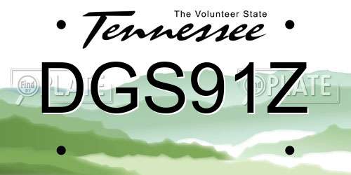 DGS91Z Tennessee License Plate