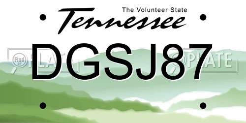 DGSJ87 Tennessee License Plate