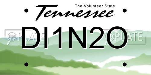 DI1N2O Tennessee License Plate