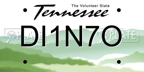 DI1N7O Tennessee License Plate