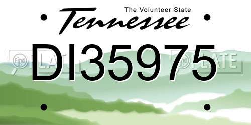 DI35975 Tennessee License Plate