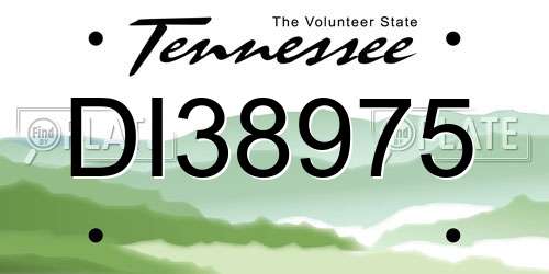 DI38975 Tennessee License Plate
