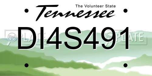 DI4S491 Tennessee License Plate