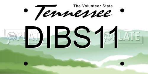 DIBS11 Tennessee License Plate