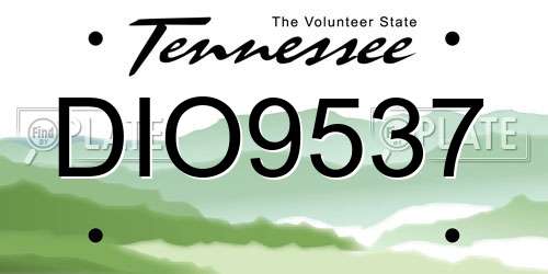 DIO9537 Tennessee License Plate