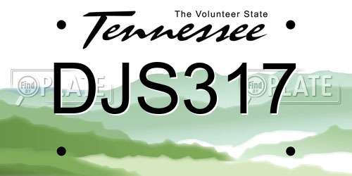 DJS317 Tennessee License Plate