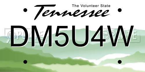 DM5U4W Tennessee License Plate
