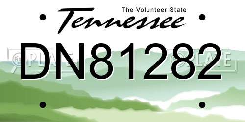 DN81282 Tennessee License Plate