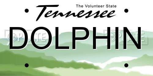 DOLPHIN Tennessee License Plate