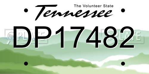 DP17482 Tennessee License Plate