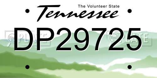 DP29725 Tennessee License Plate