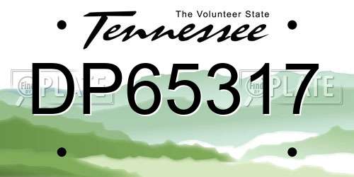 DP65317 Tennessee License Plate