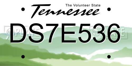 DS7E536 Tennessee License Plate