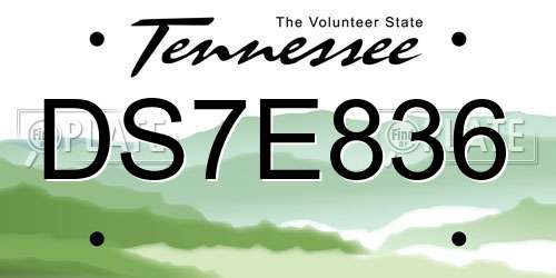 DS7E836 Tennessee License Plate