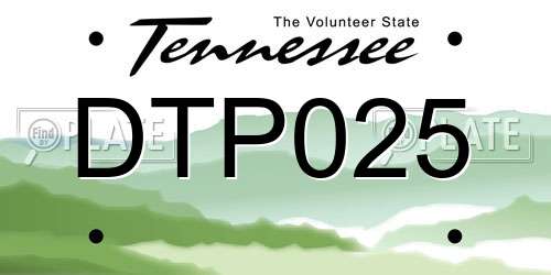 DTP025 Tennessee License Plate