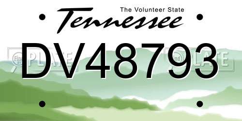 DV48793 Tennessee License Plate