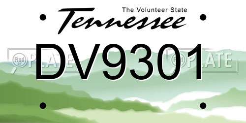 DV9301 Tennessee License Plate
