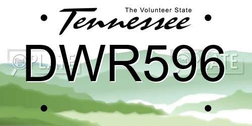 DWR596 Tennessee License Plate