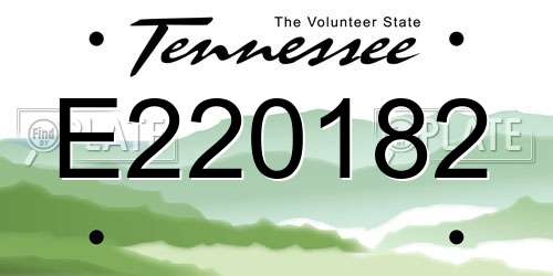 E220182 Tennessee License Plate