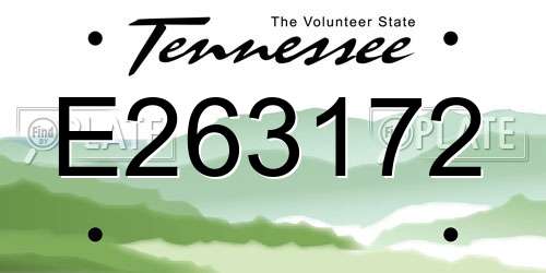 E263172 Tennessee License Plate