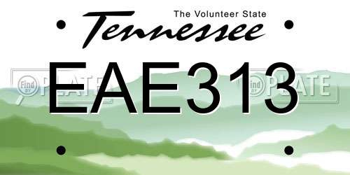 EAE313 Tennessee License Plate