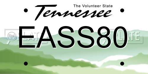 EASS80 Tennessee License Plate
