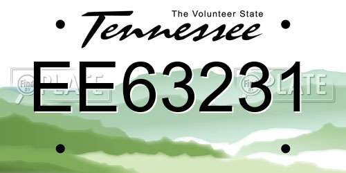 EE63231 Tennessee License Plate
