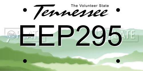 EEP295 Tennessee License Plate