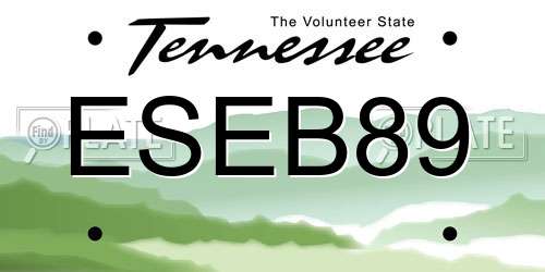 ESEB89 Tennessee License Plate