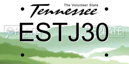ESTJ30 Tennessee License Plate