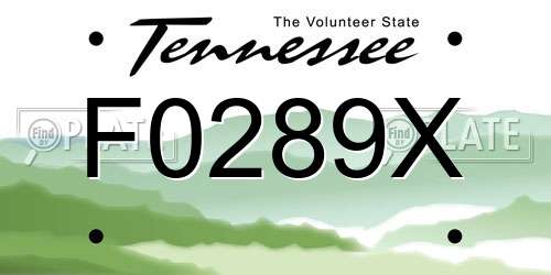 F0289X Tennessee License Plate