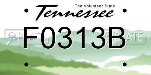F0313B Tennessee License Plate