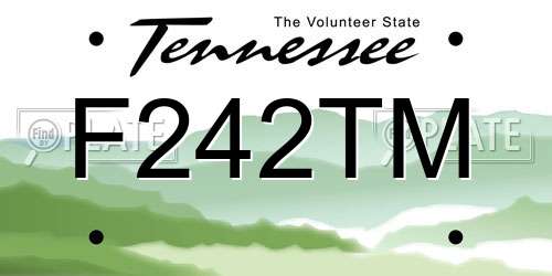 F242TM Tennessee License Plate