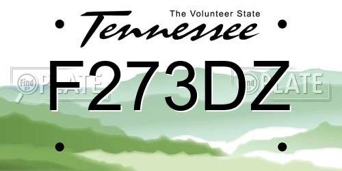 F273DZ Tennessee License Plate