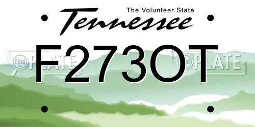 F273OT Tennessee License Plate