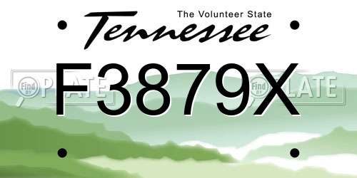 F3879X Tennessee License Plate