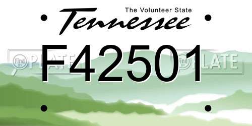 F42501 Tennessee License Plate