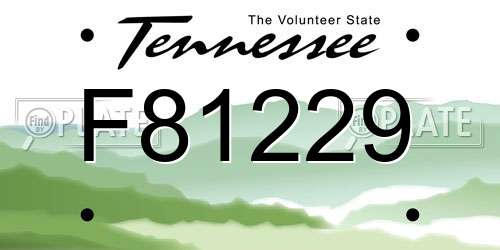 F81229 Tennessee License Plate