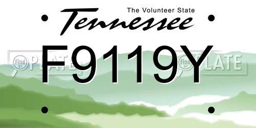 F9119Y Tennessee License Plate