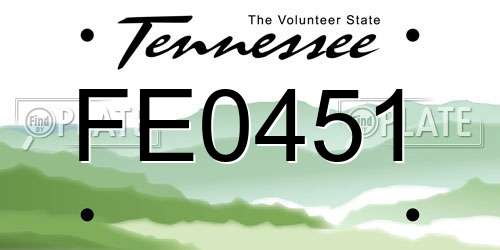 FE0451 Tennessee License Plate