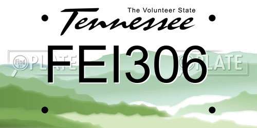 FEI306 Tennessee License Plate