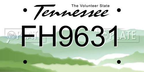 FH9631 Tennessee License Plate