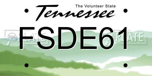 FSDE61 Tennessee License Plate