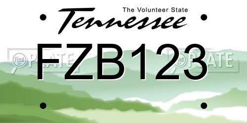 FZB123 Tennessee License Plate