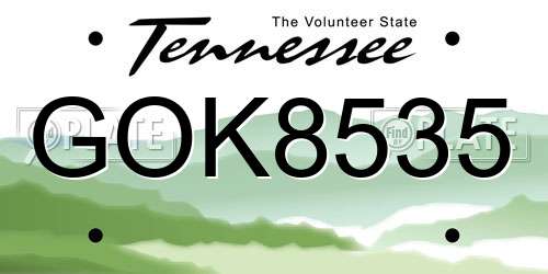 GOK8535 Tennessee License Plate