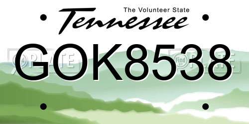 GOK8538 Tennessee License Plate