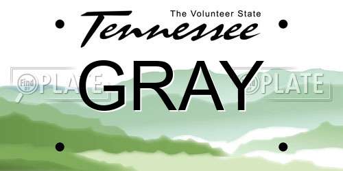 GRAY Tennessee License Plate