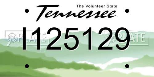 I125129 Tennessee License Plate